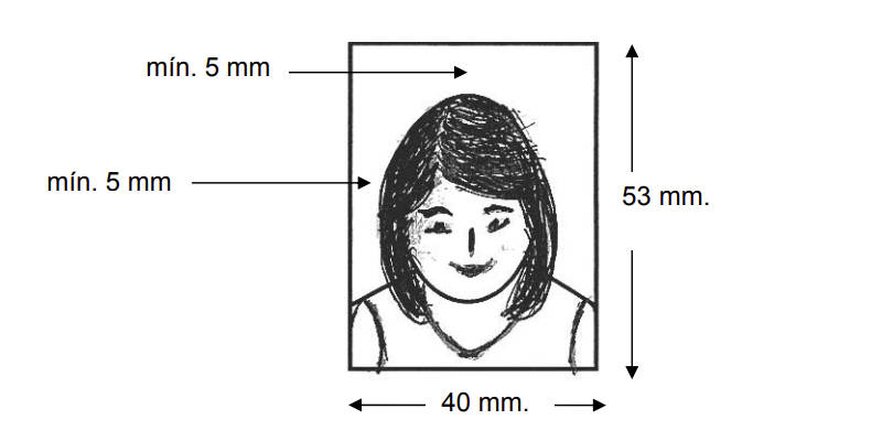 Spanish passport photo size diagram